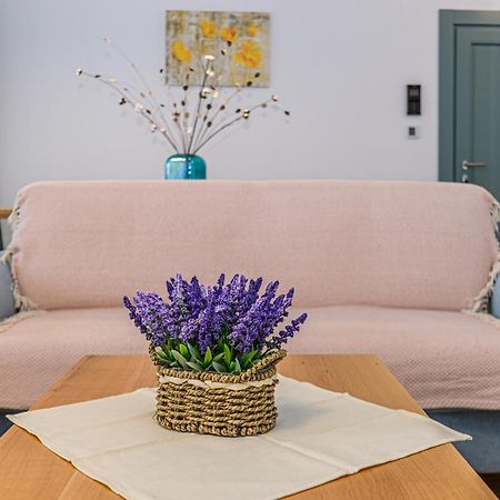 בראשוב Kronstadt Olarilor Apartment מראה חיצוני תמונה