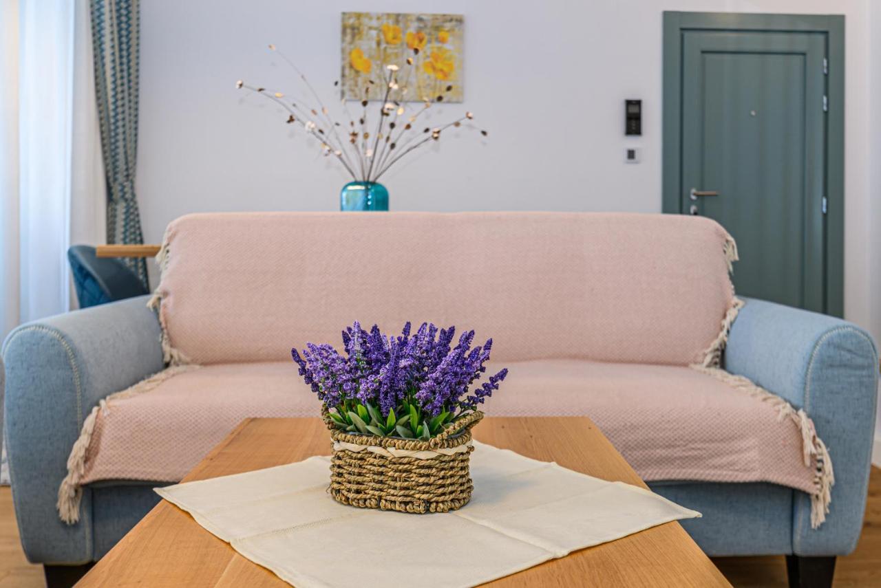 בראשוב Kronstadt Olarilor Apartment מראה חיצוני תמונה